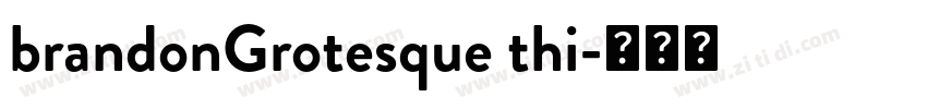brandonGrotesque thi字体转换